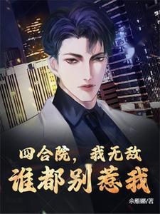 四合院:小说